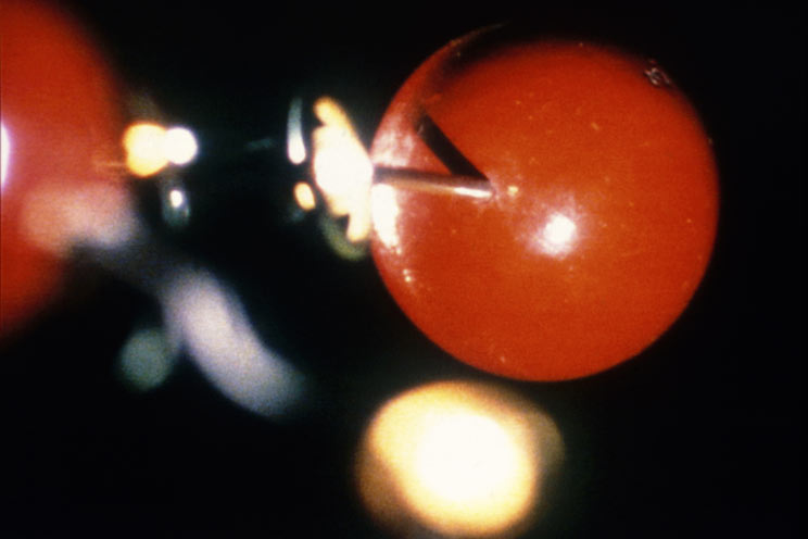 Tacita Dean, ‘The Structure of Ice’ (1997) Commissioned by the Science Museum